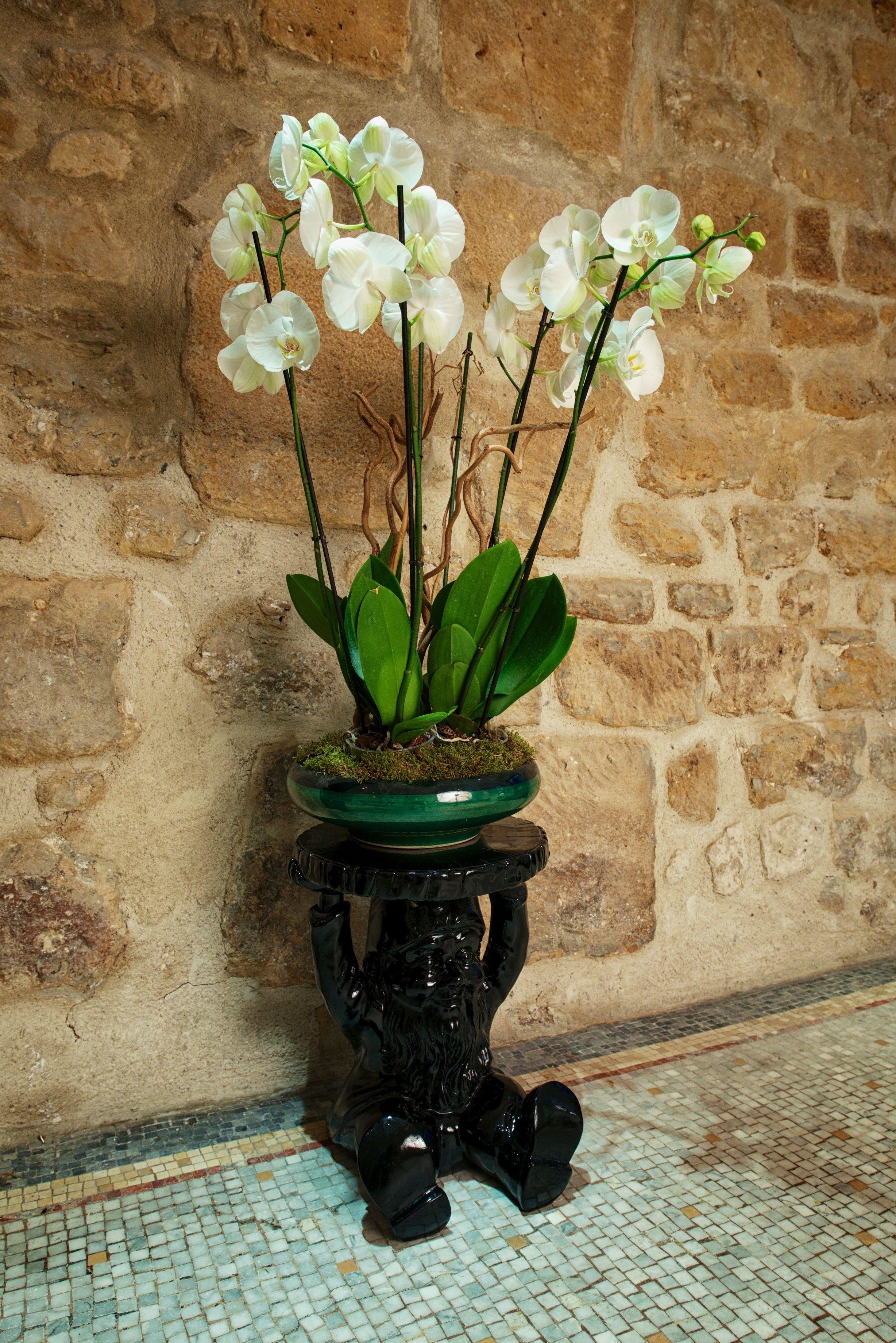 Le Clos De Notre Dame